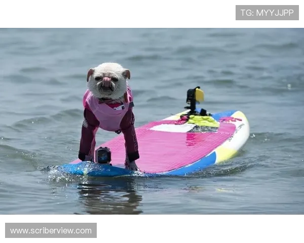 乐动体育最新版app免费下载帮助用户快速了解比赛结果和精彩瞬间